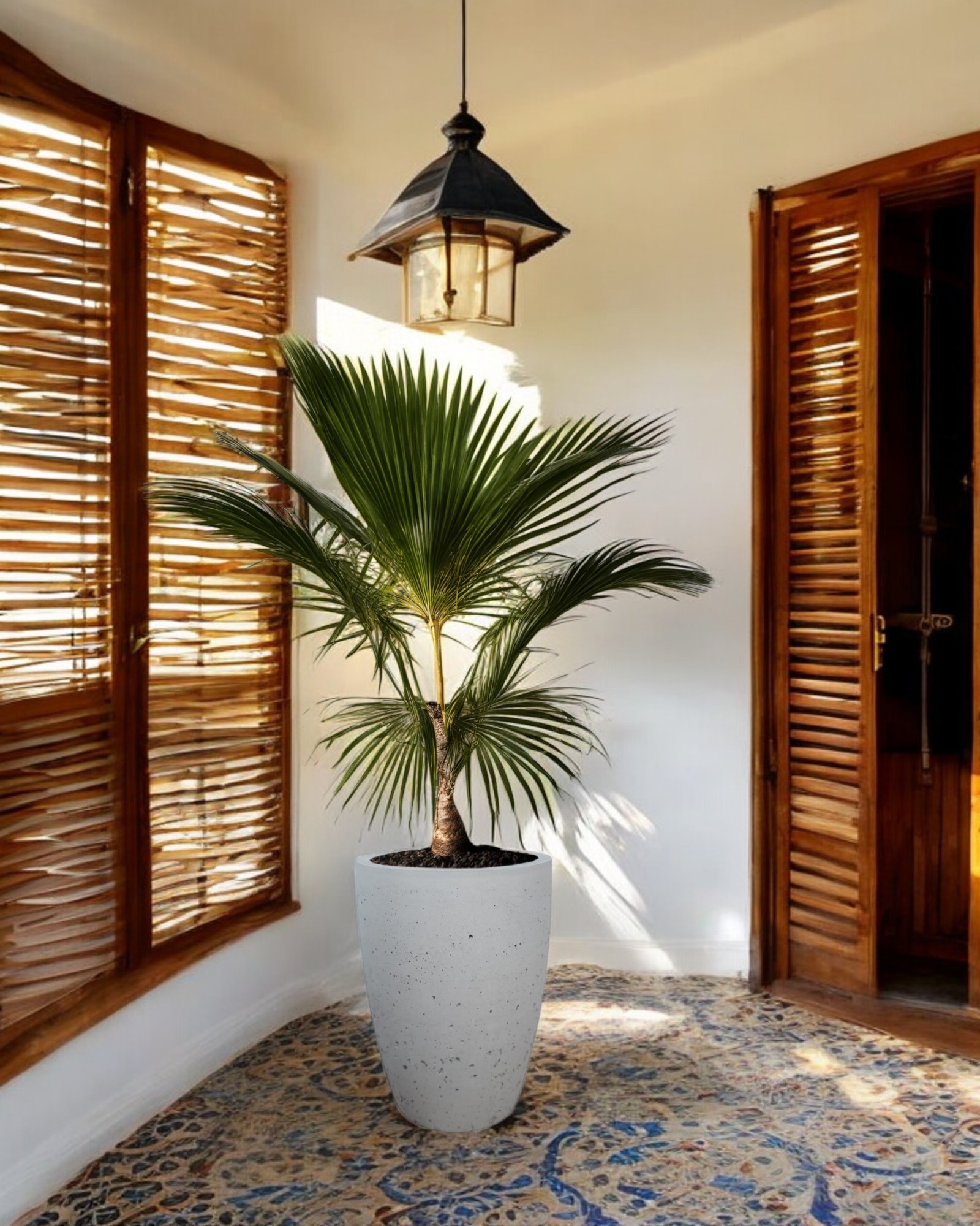 Büyük Boy Hafif Beton Saksı (Az Beton Dokulu)