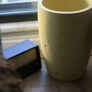 IMG_7814 Büyük Boy Hafif Beton Saksı (Pastel Renkler)