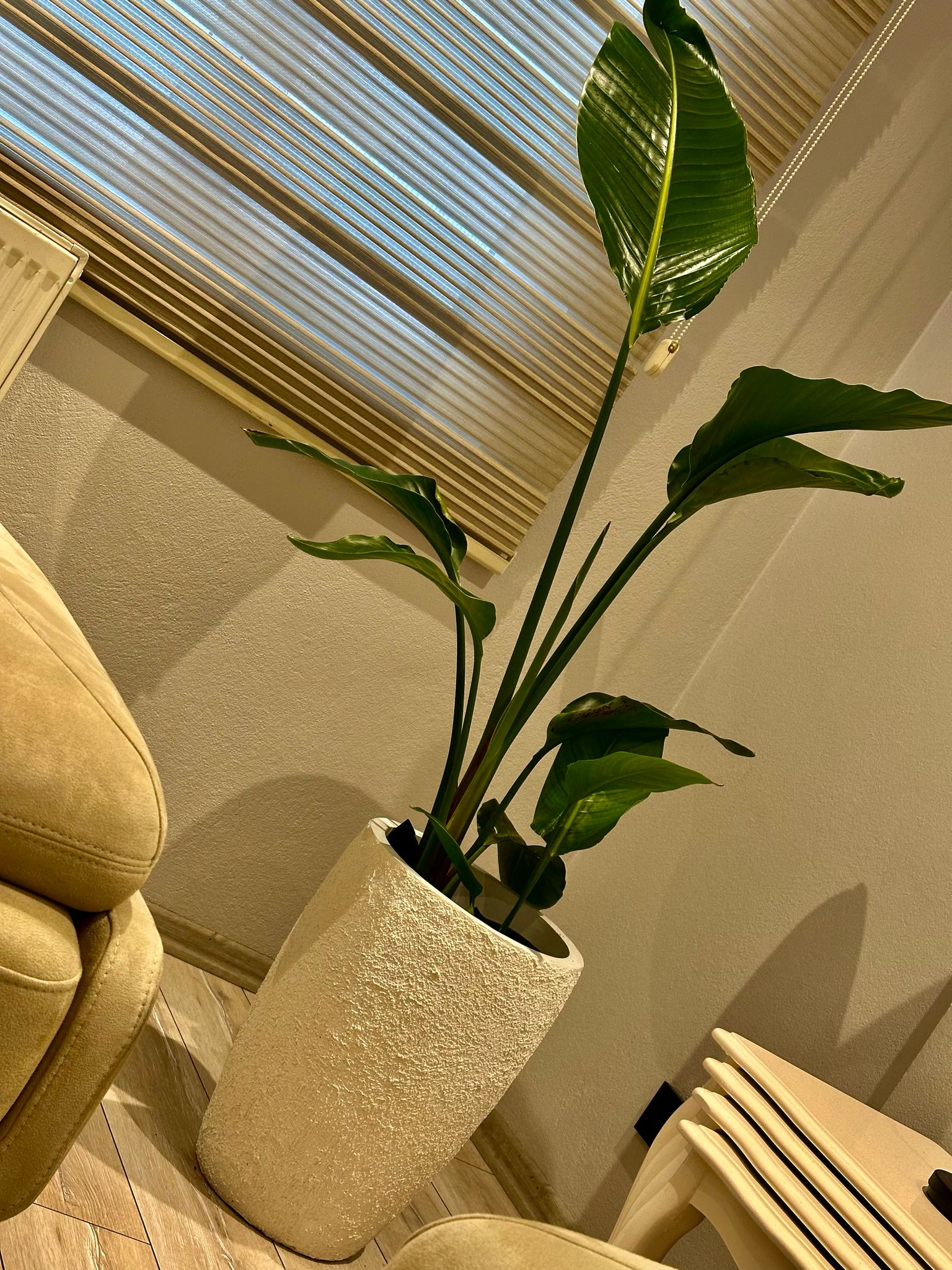 Büyük Boy Rölyef Hafif Beton Saksı